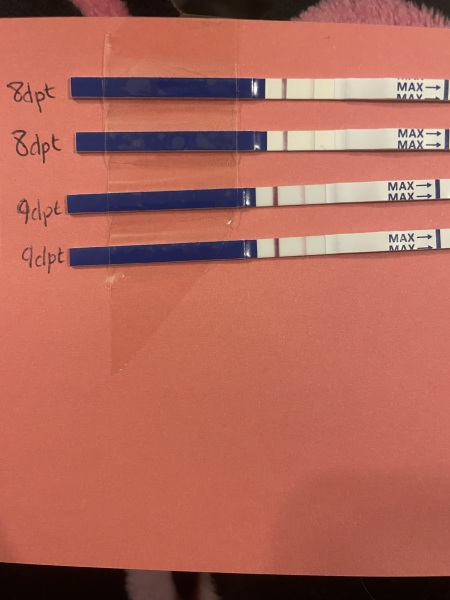 IVF Positive test?