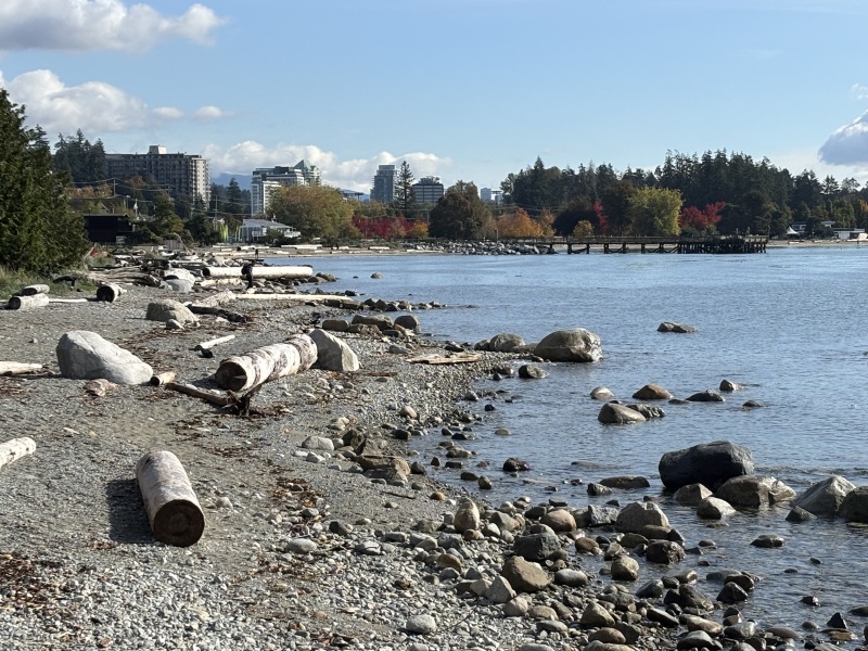 Come and tell me your dull and unexciting news 31: Calmly through the day