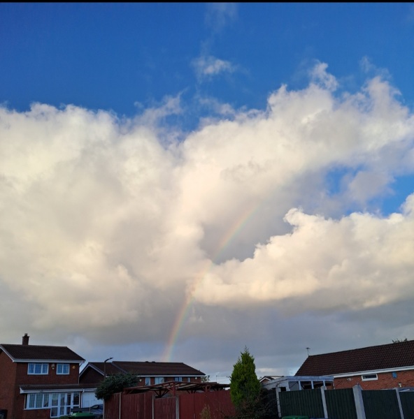 Immune/NK cells pred thread #32