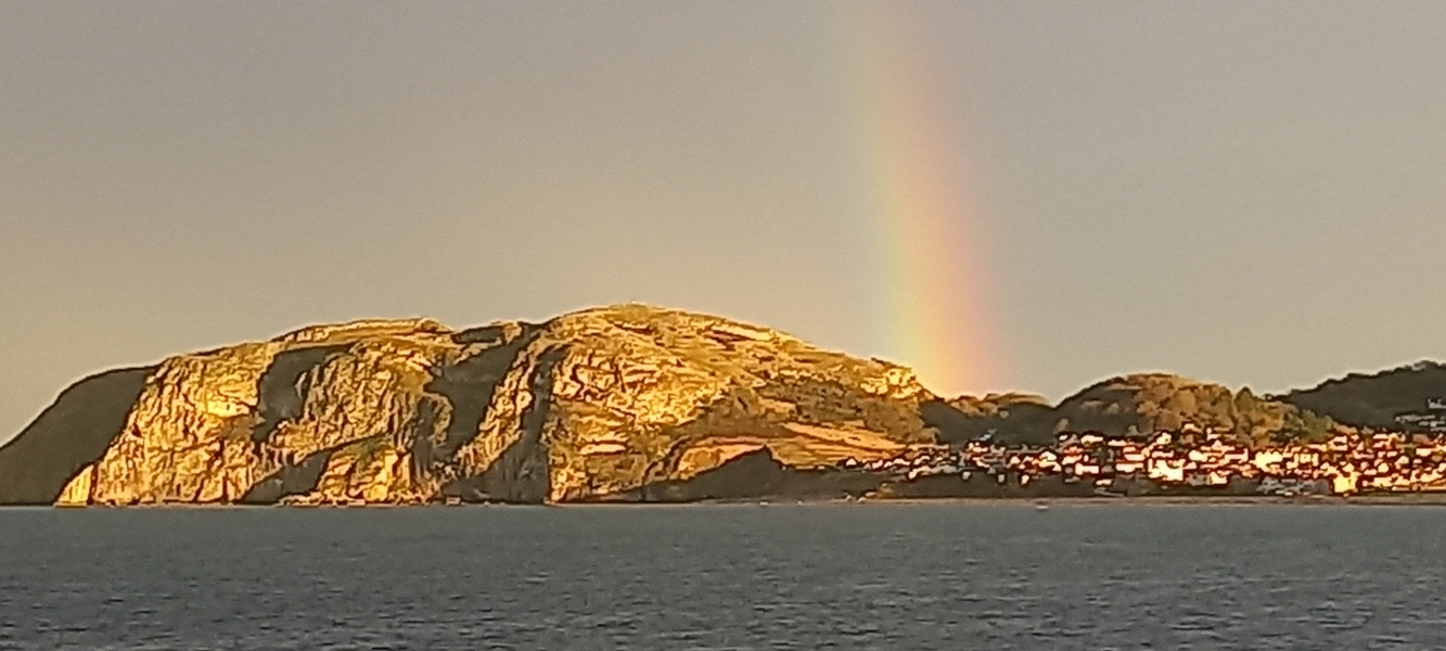 Come and tell me your dull and unexciting news 31: Calmly through the day