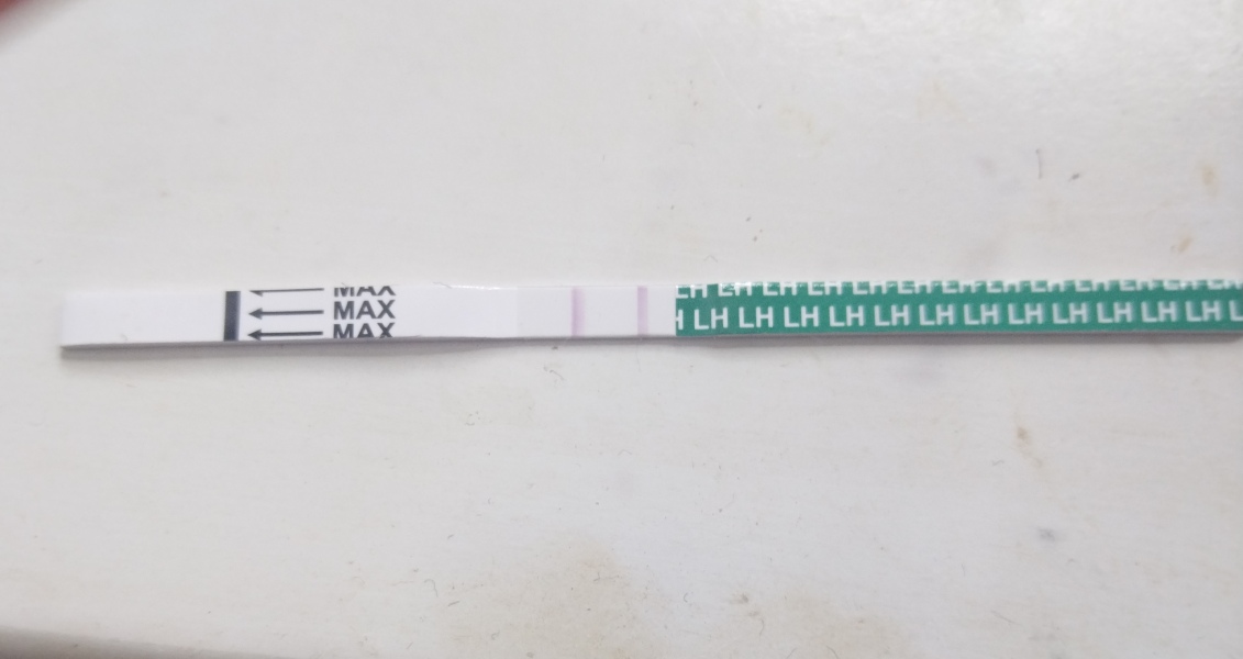 Lh test not registering positive on premom?