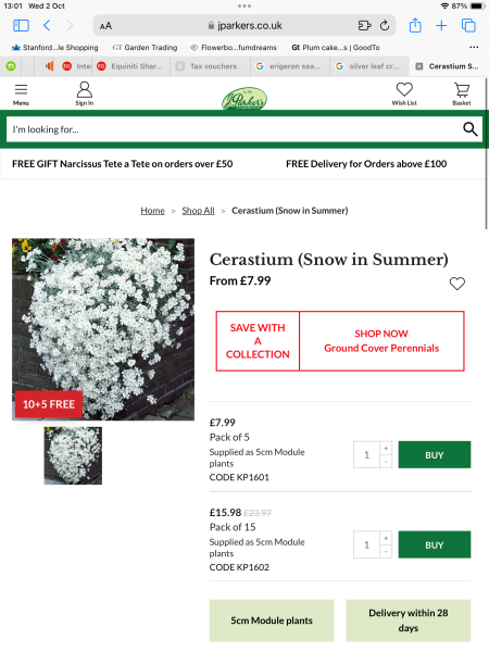 Does anyone know what plant I'm looking for?