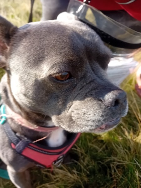 The Continuing Support Thread for Anyone Trying to Lead an Alcohol-Free Life Autumn 2024