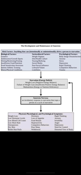 Support thread 13 for parents of young people with an eating disorder
