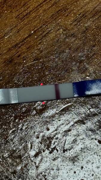 8dpo. Anyone wanna join this group and chat x