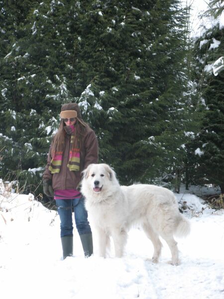 Adolescent Dog Survival...Sharing Tips & Tails
