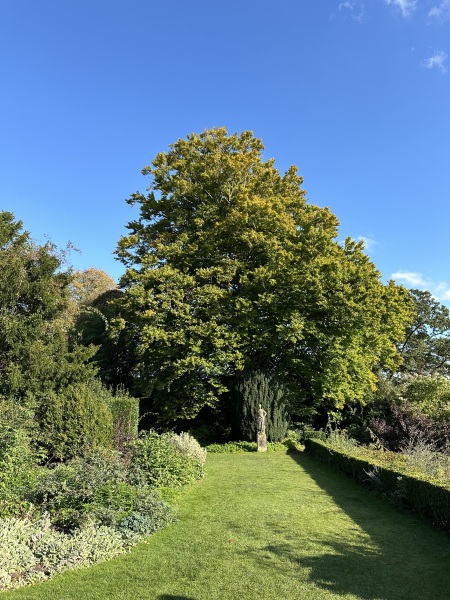 The Autumnal Christmas Chronicles Preamble - Thread 2 further ramblings