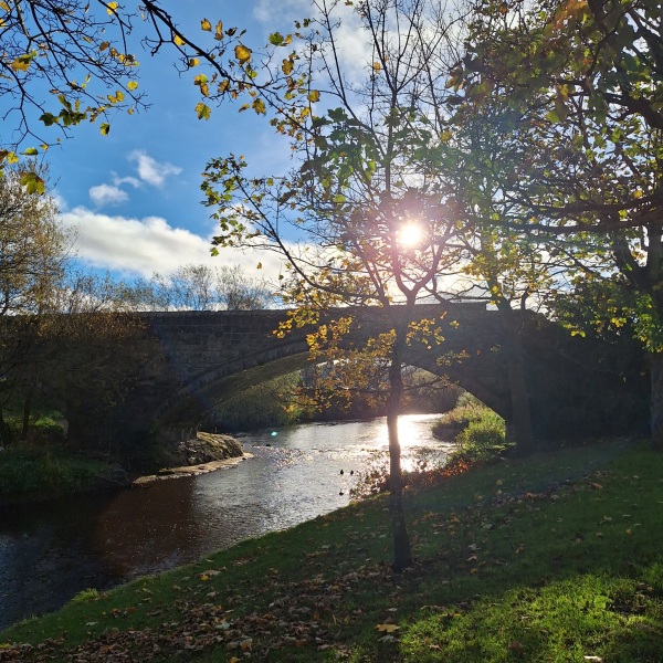 Mounjaro August starters #7