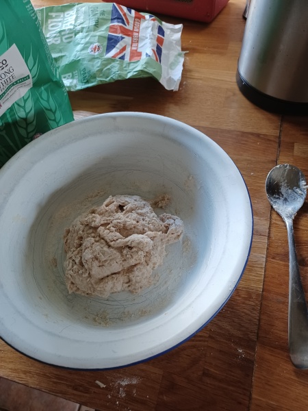 Sourdough Bread Starter