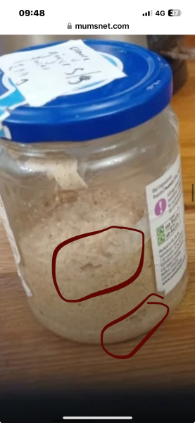 Sourdough Bread Starter