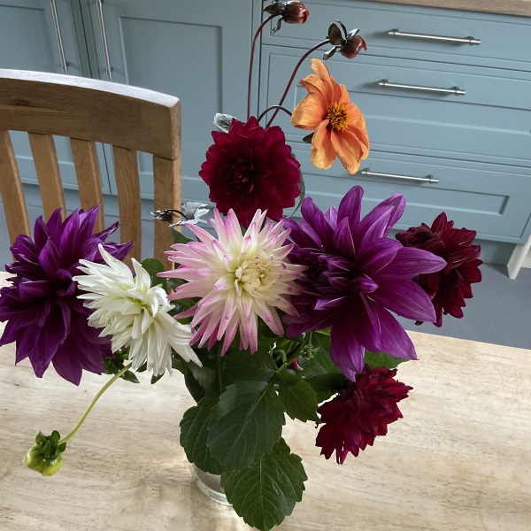 Things someone has done that suddenly made you weirdly attracted to them