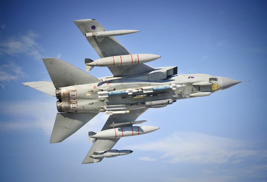 Bluestockings & Orange Wellies: Welcome to the Degu Station!