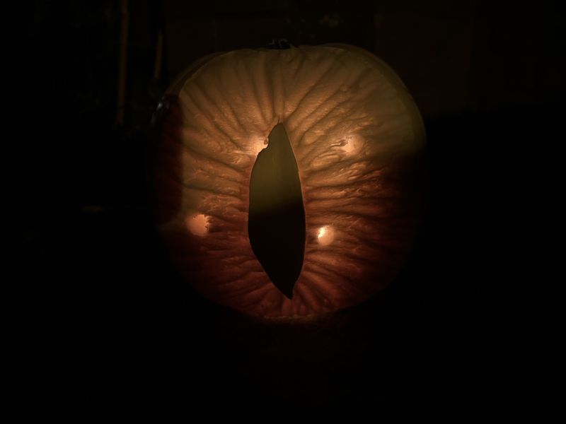 Show us your pumpkins!