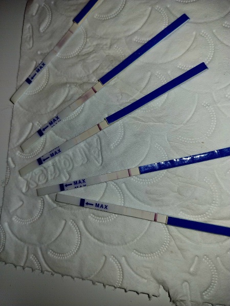 Evap line or faint positives