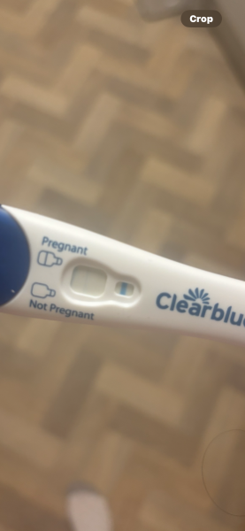 Clear blue test. Evap line or positive