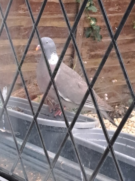 Thread 10 Starmer: First Female Chancellor delivers the Budget