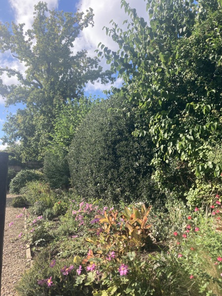 The Autumnal Christmas Chronicles Preamble - Thread 2 further ramblings