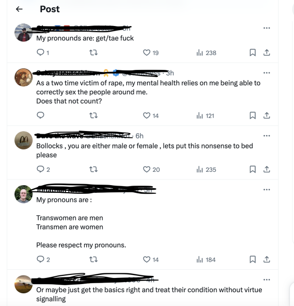 NHS Practitioner Health promotion of International Pronouns Day on X doesn't seem to be going to plan