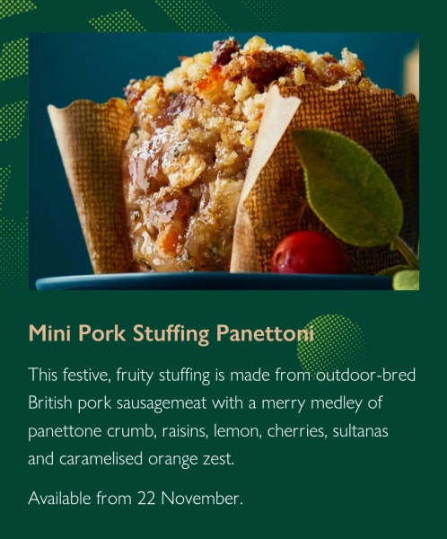 Poncetastic Christmas 2024