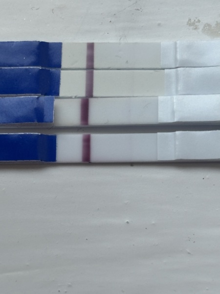4 positive one step tests but negative clear blue digital