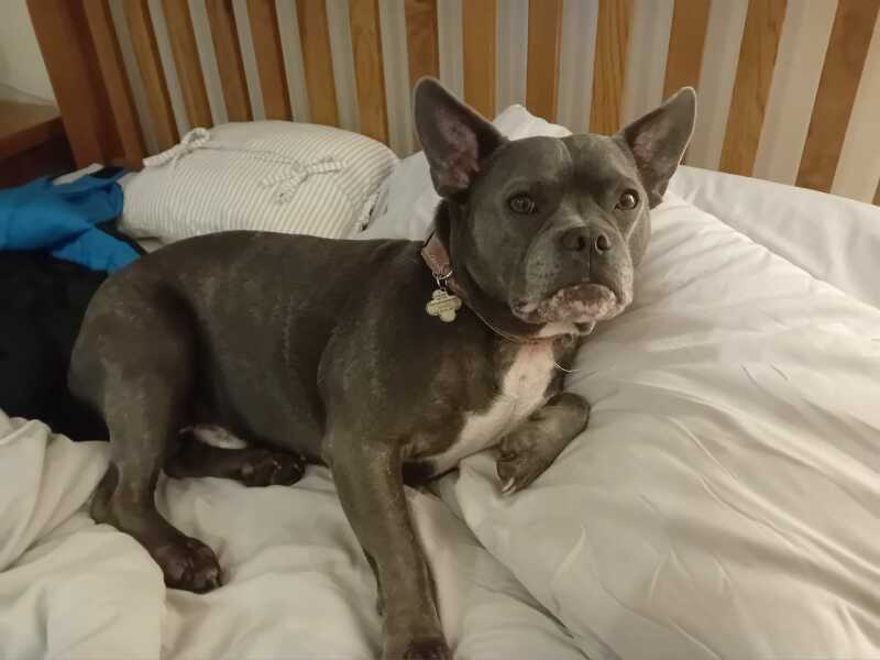 The Continuing Support Thread for Anyone Trying to Lead an Alcohol-Free Life Autumn 2024