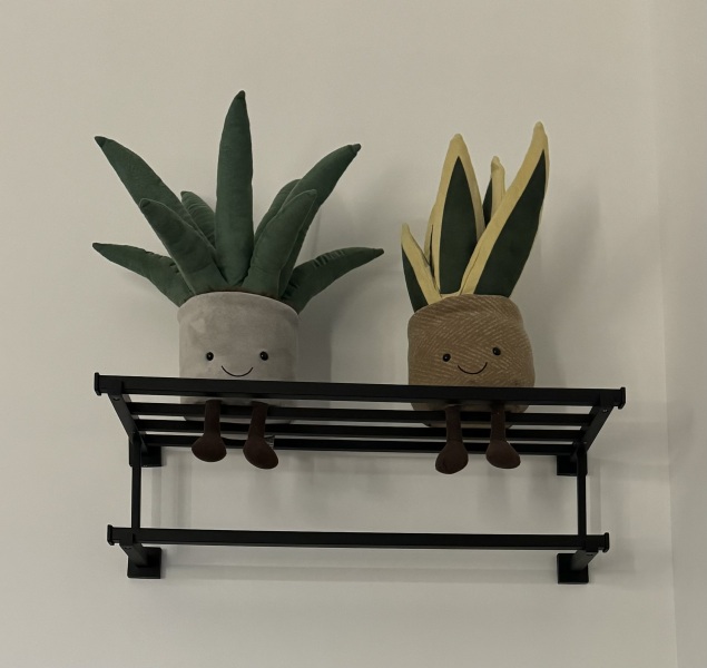 To think JellyCats cost a ridiculous amount..