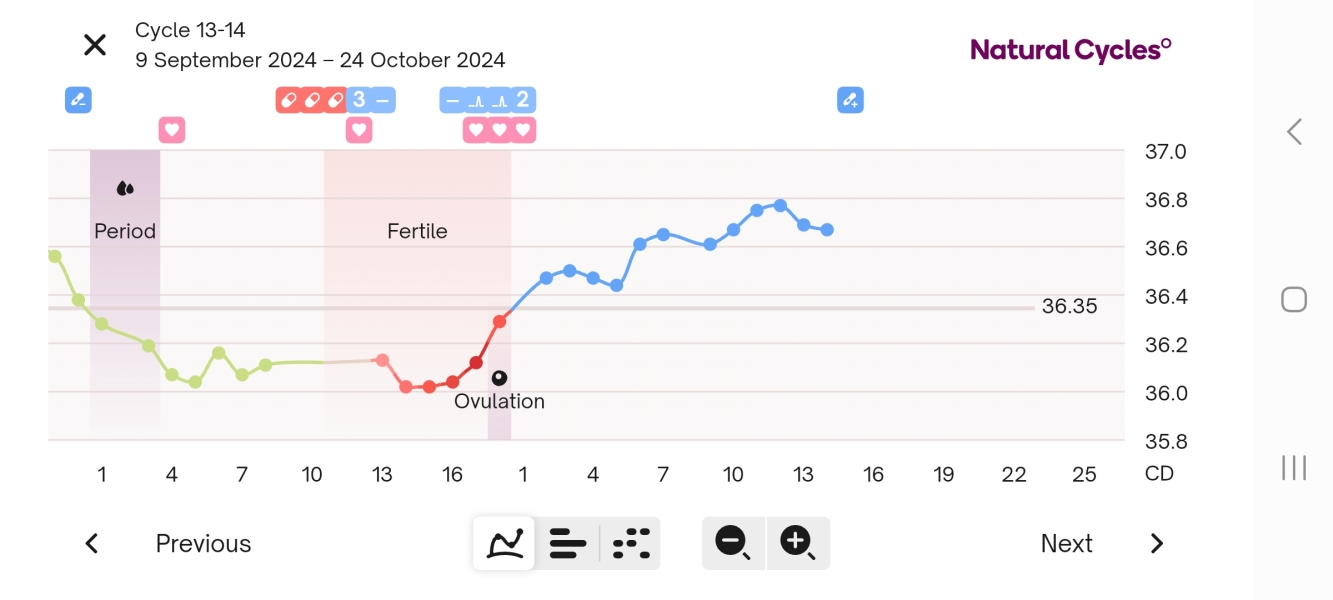 BFP - What did your BBT chart look like that cycle?