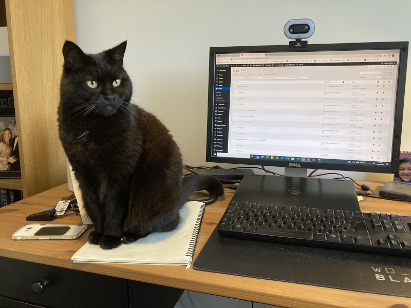 Black cat appreciation (pics please)