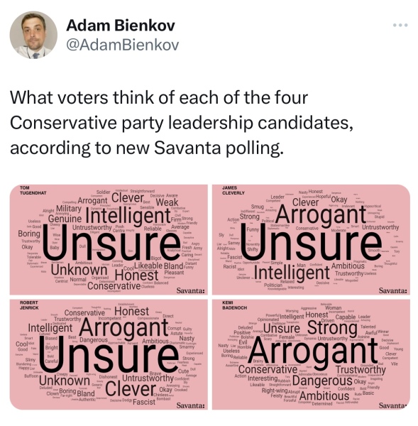 Thread 8 Starmer : Cat fur on new clothes