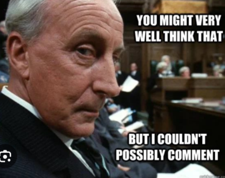 Bluestocking! The Gerbical