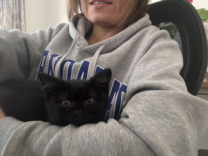 Stainless steel litter boxes?