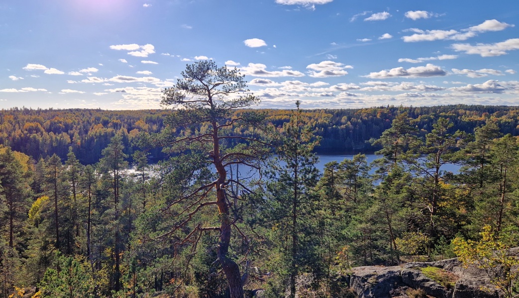 Come chat hiking with me!