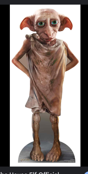 Please help me decide on dresses - for 2 events!