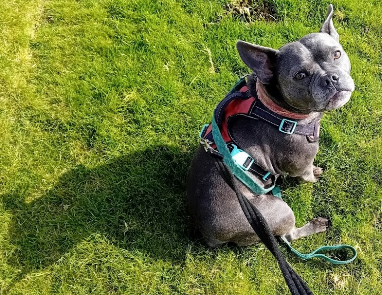 The Continuing Support Thread for Anyone Trying to Lead an Alcohol-Free Life Autumn 2024