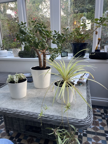 The Great Cancer Recovery part 3