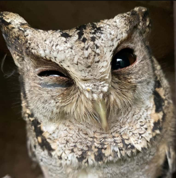 Mermaids, Barclays' Mumsnet Boycott, Jeffrey Epstein... Malcolm does a deep dive