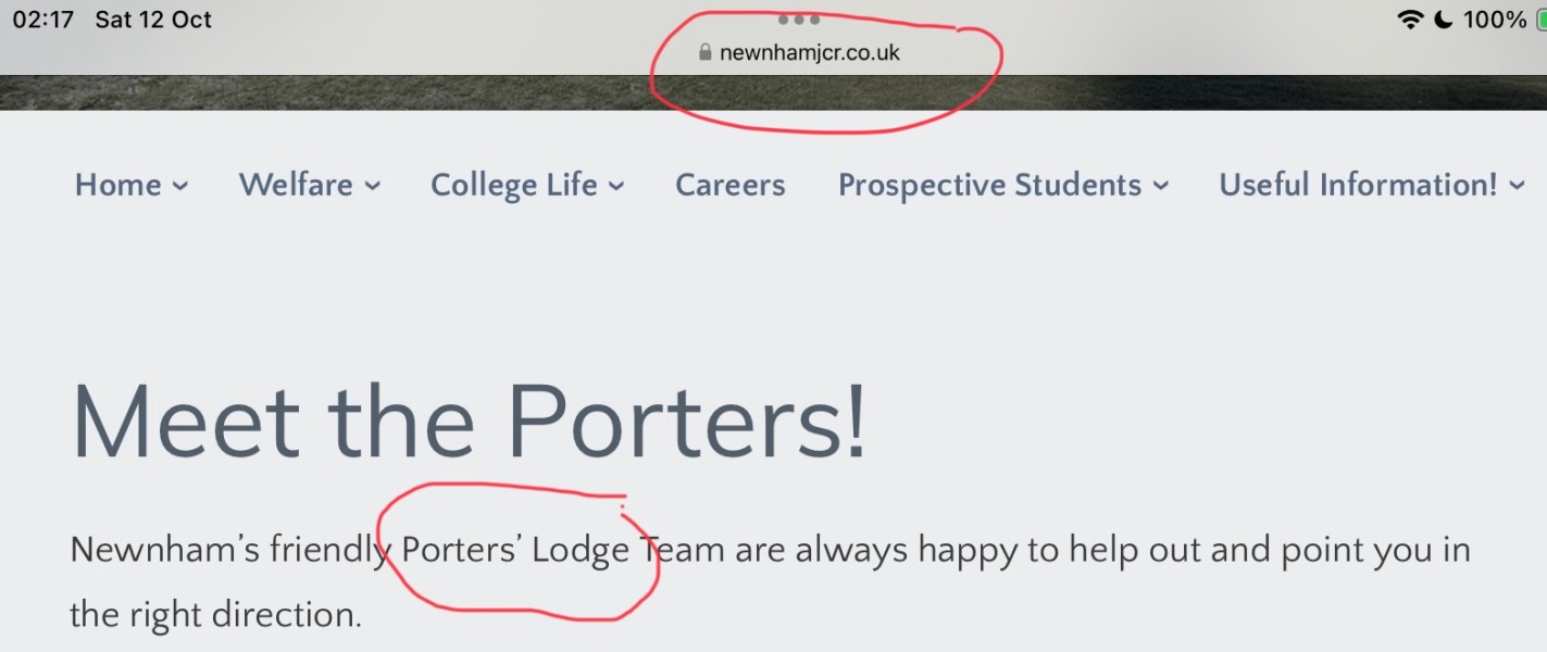 Bluestockings & Orange Wellies: Welcome to the Degu Station!