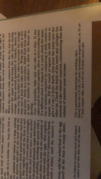 Poncetastic Christmas 2024