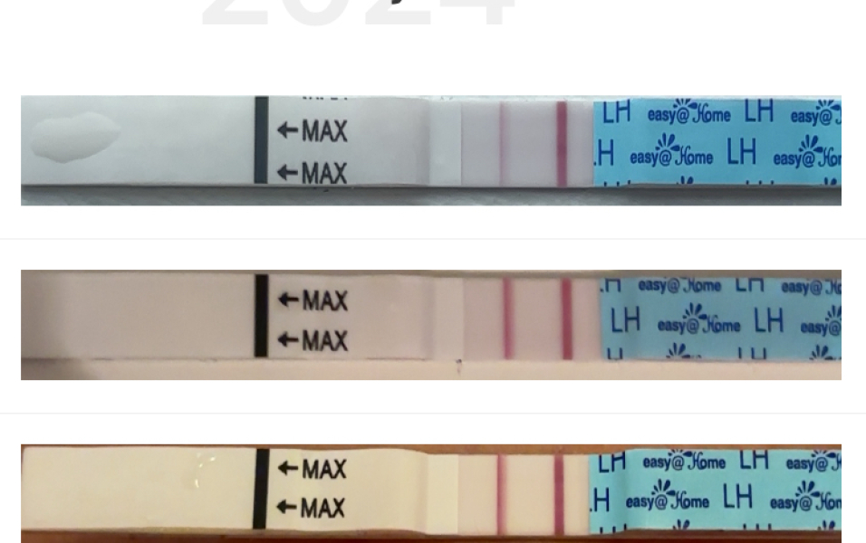 Anyone about to go into an ovulation week?