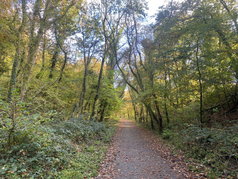 Come and tell me your dull and unexciting news 31: Calmly through the day