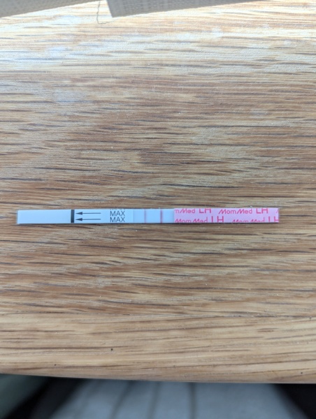 TTC after chemical pregnancy 2