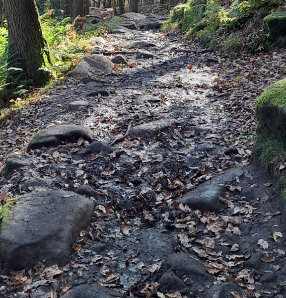 Muddy walk: who IBU
