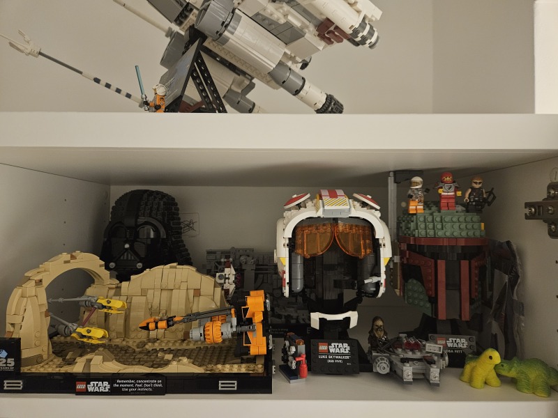 To show me your Lego collection?