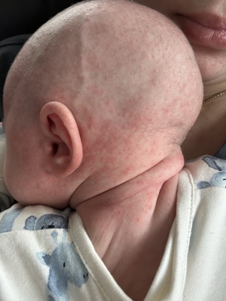 4 weeks old struggling