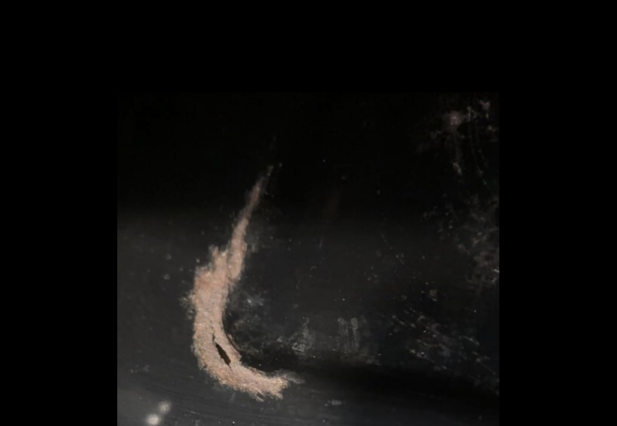 Rust in oven = hole