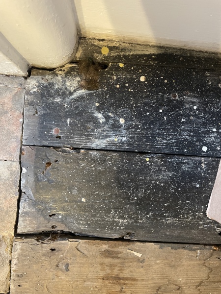 How to seal period floorboards after sanding?