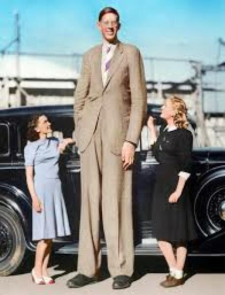 Do you think this is true about short v tall men?