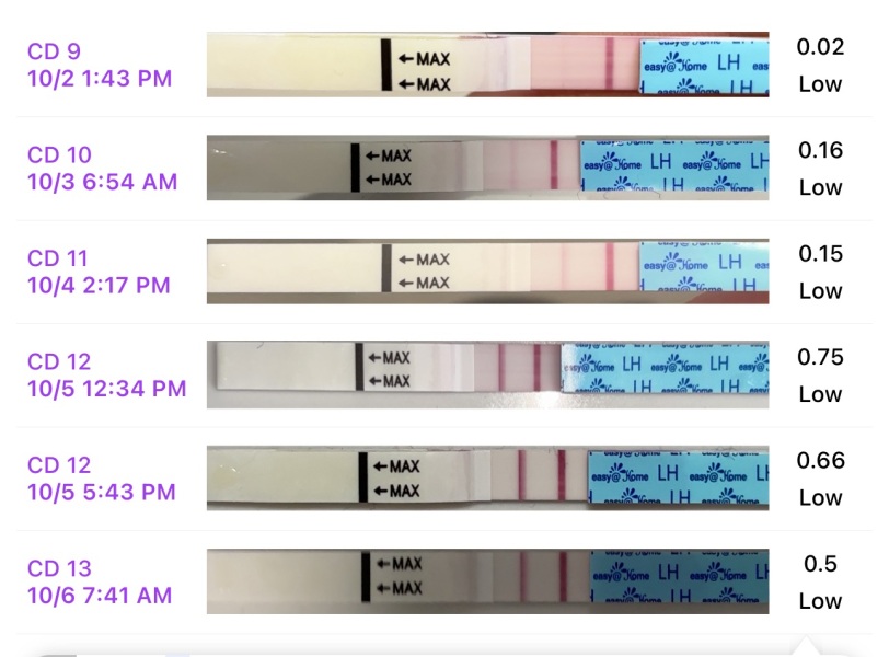 Positive OPK?
