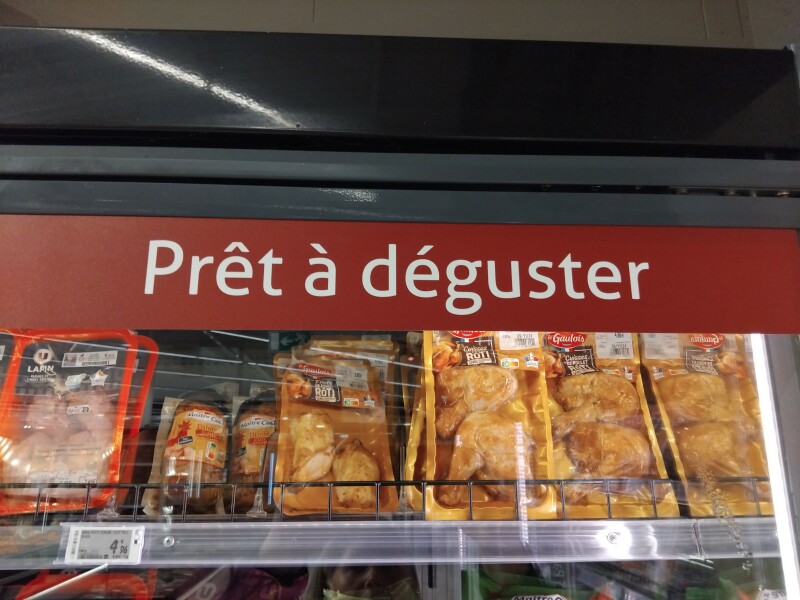 Bluestockings & Orange Wellies: Welcome to the Degu Station!