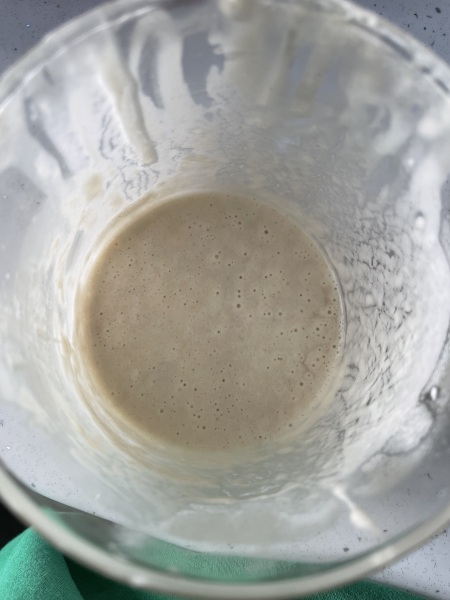 HELP WITH SOURDOUGH STARTER